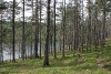 Lapland_007